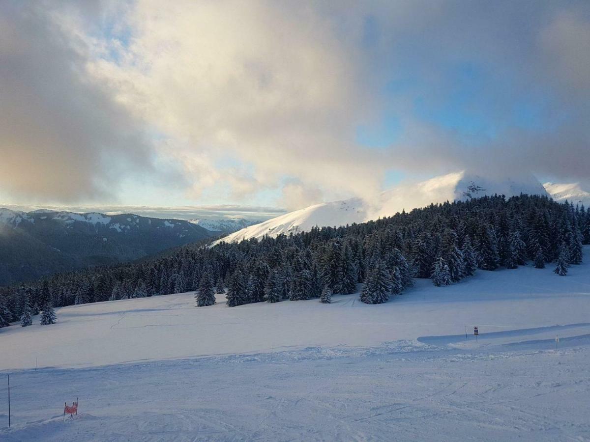 Praz-Du-Soleil F3 Apartamento Les Gets Exterior foto